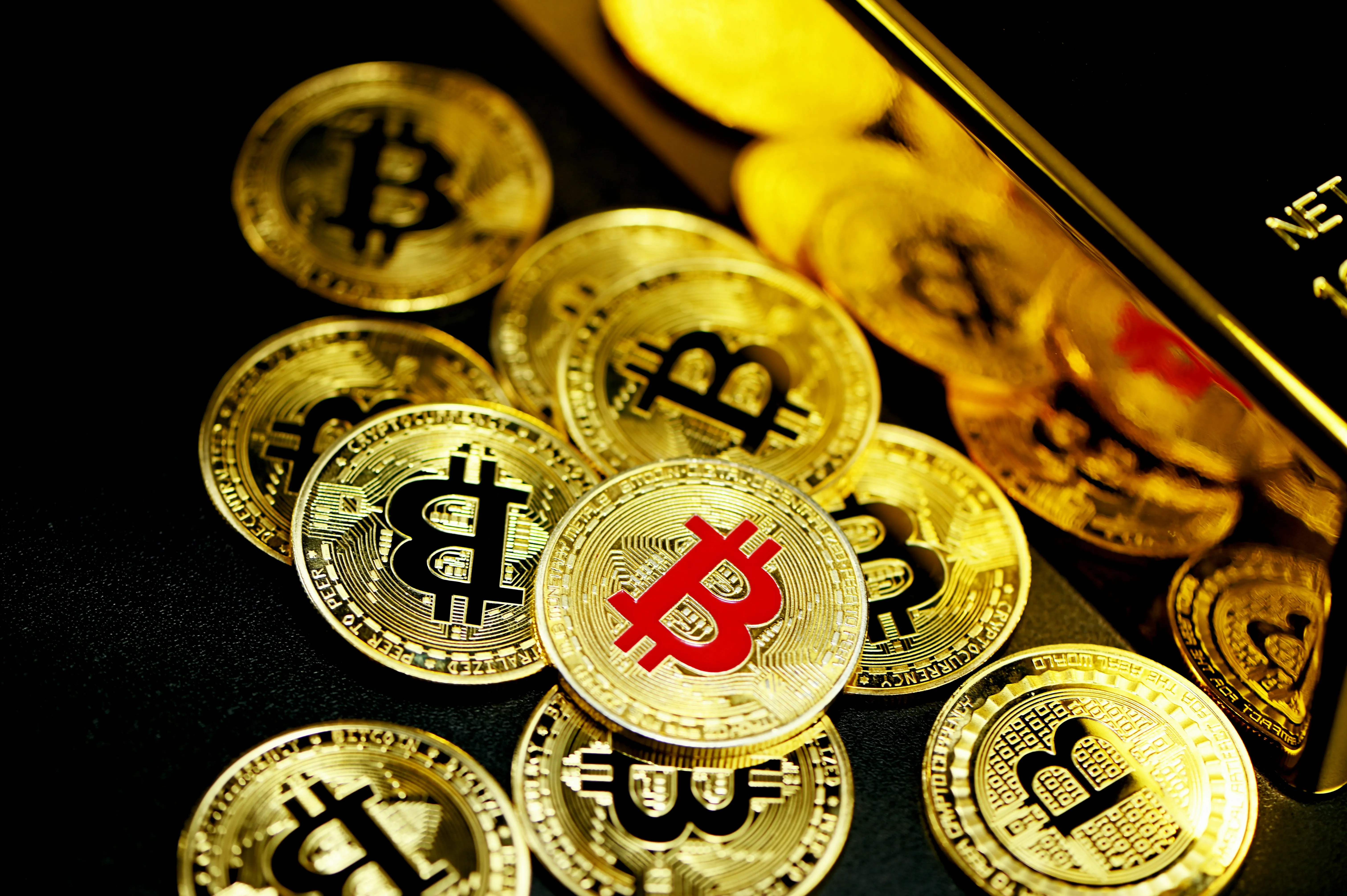 Lịch thi đấu đá gà W88